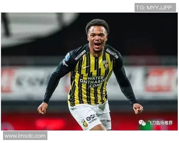 维迪斯与赫拉克斯的巅峰对决谁将成为最终胜者