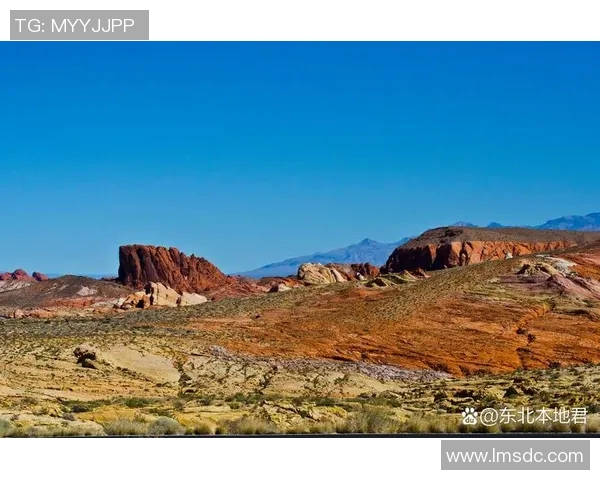 探索埃斯特旺的魅力与历史遗迹，感受独特文化与自然风光的完美融合